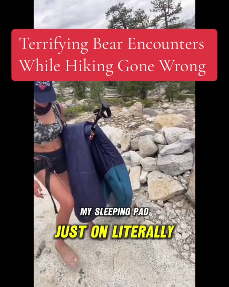 Terrifying Bear Encounter During a Backcountry Nap