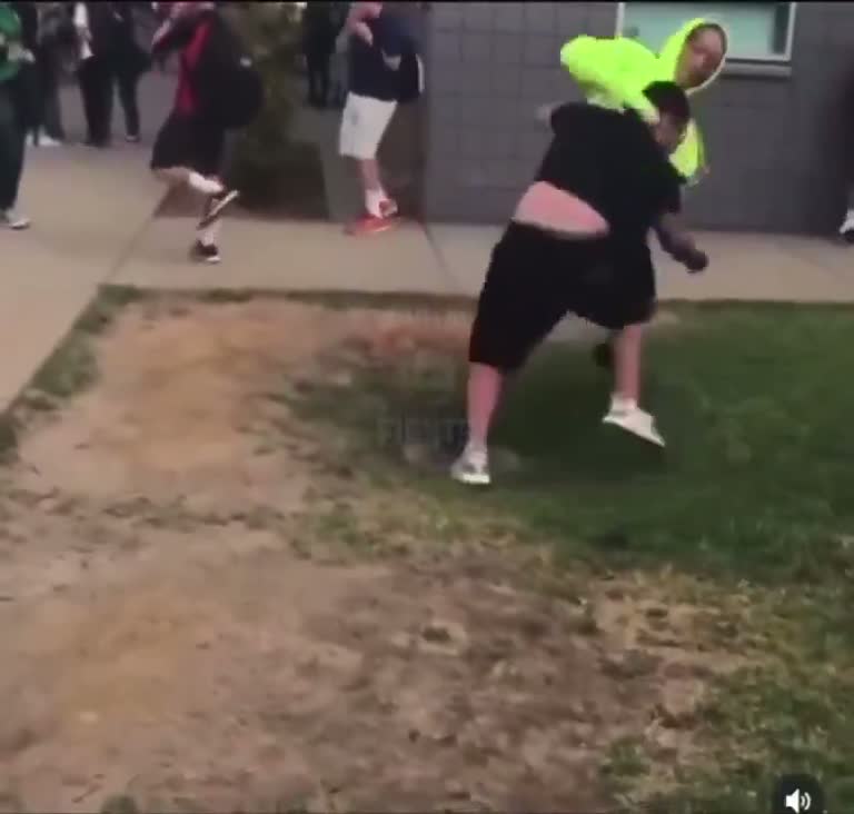 A Sudden Scuffle on the Lawn Draws a Quiet Crowd