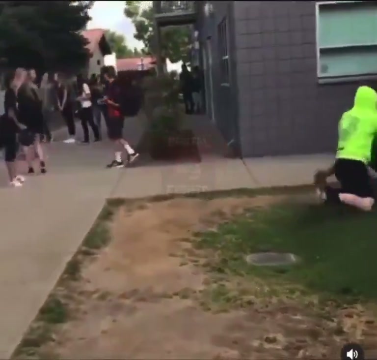 A Sudden Scuffle on the Lawn Draws a Quiet Crowd