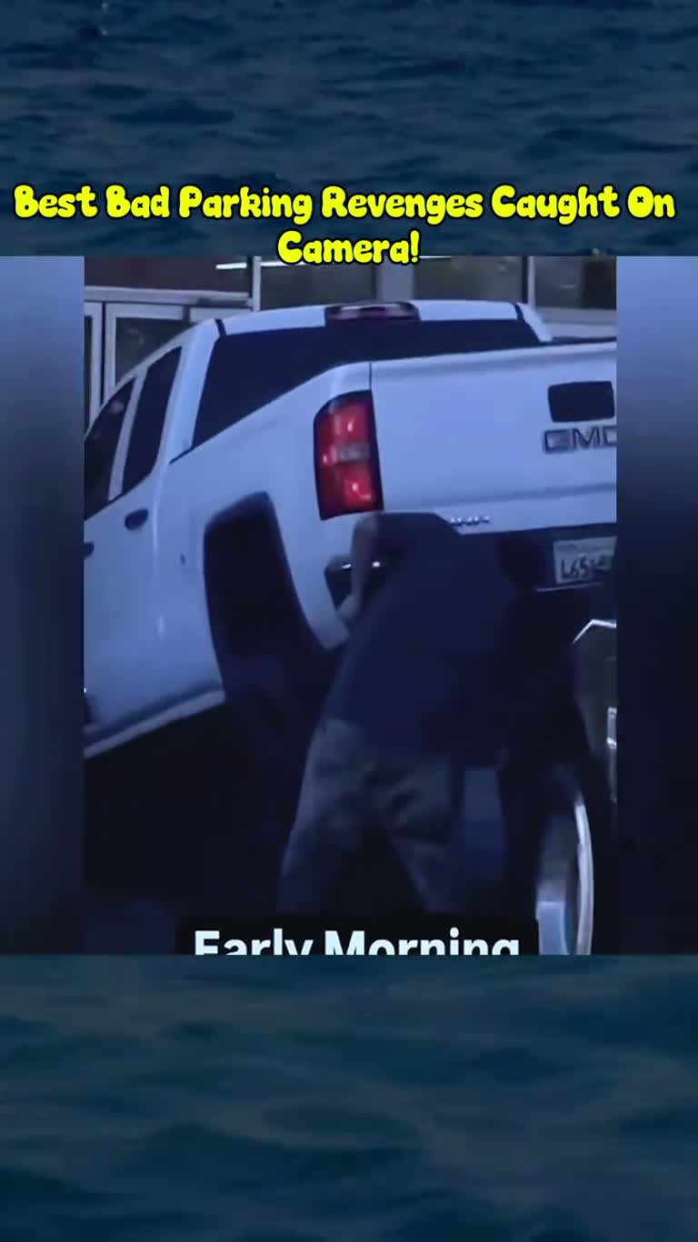 Caught on Camera: The Parking Revenge That Shocked a Quiet Marina