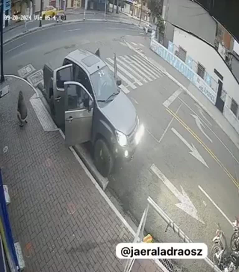 Shocking moment driver confronts would-be thieves at 05:41