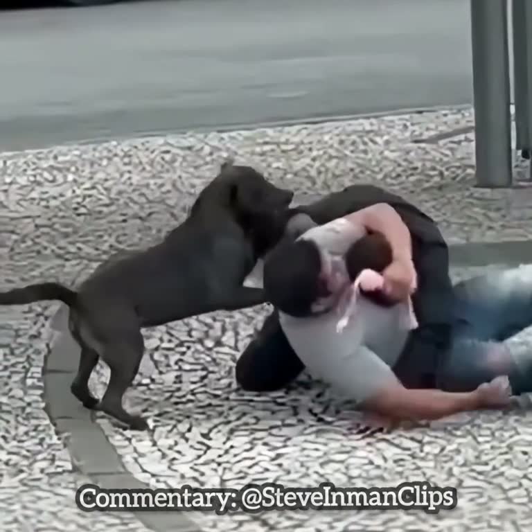 Chaos on the cobbles as a dog joins a street brawl in broad daylight