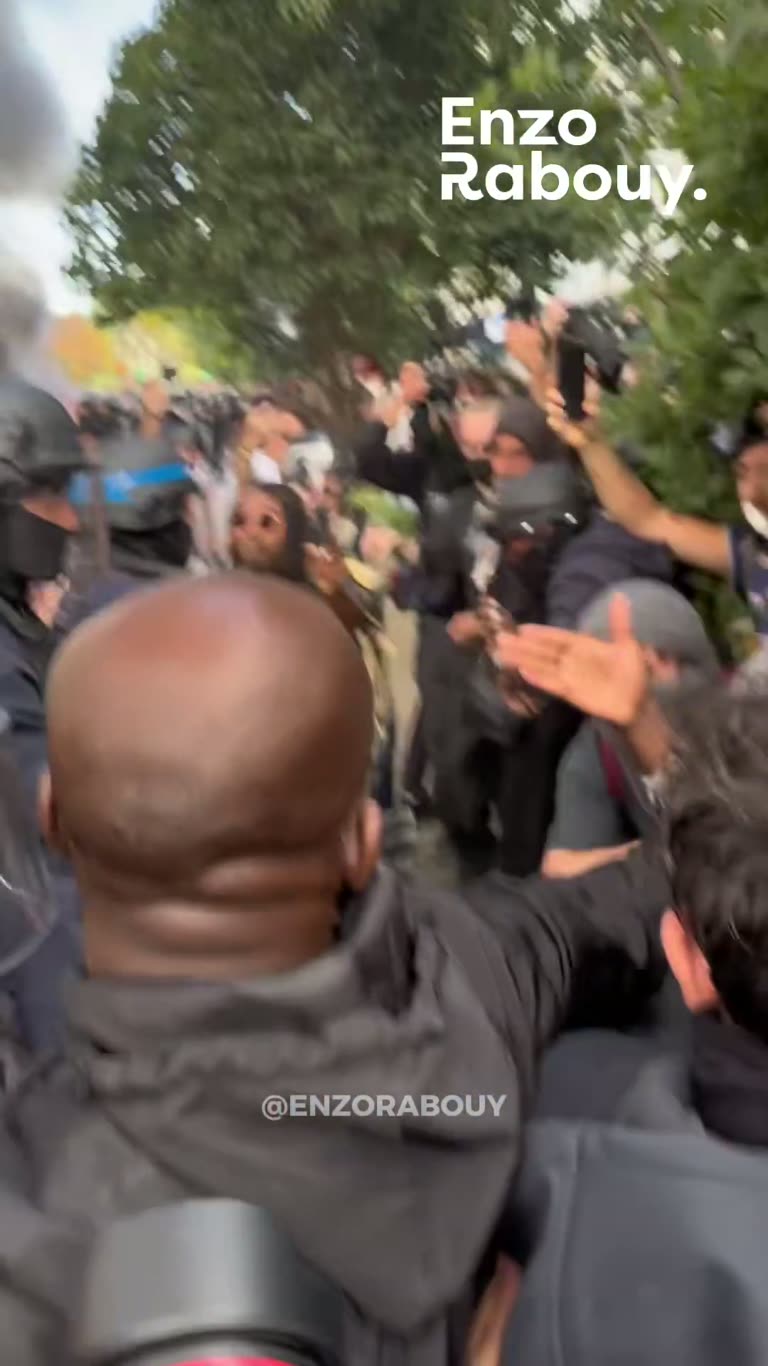 French mayor caught on camera shielding students from police