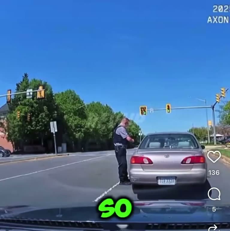 Traffic Stop Turns Chaotic as Driver Reaches for Weapon