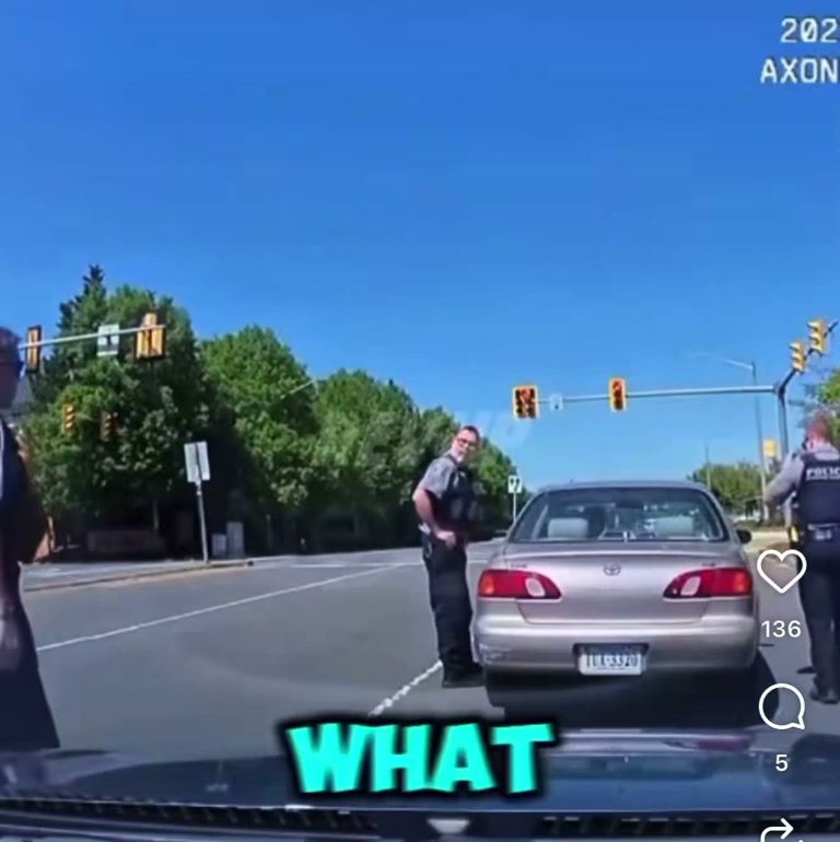 Traffic Stop Turns Chaotic as Driver Reaches for Weapon